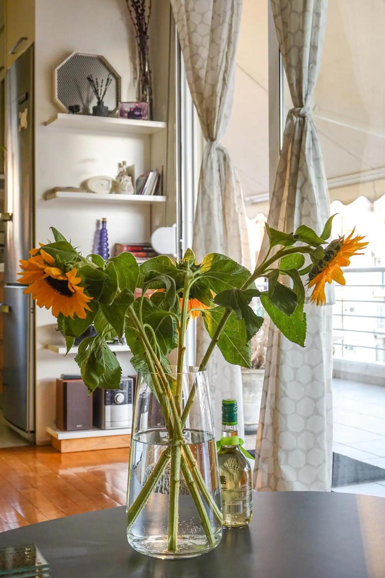Skyview Penthouse / Central Atene Esterno foto